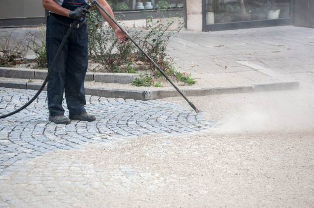 Best Roof Cleaning and Mildew Removal in Oronoco, MN