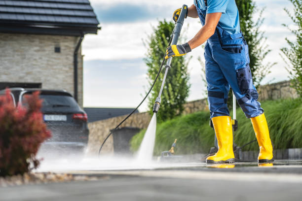 Best Vinyl Siding Pressure Washing in Oronoco, MN